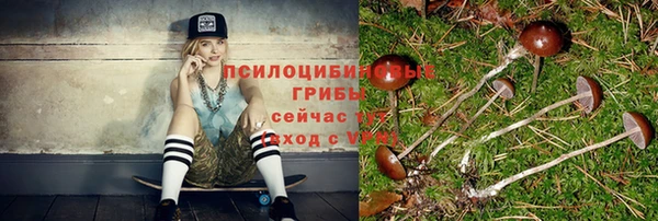 дживик Алексеевка