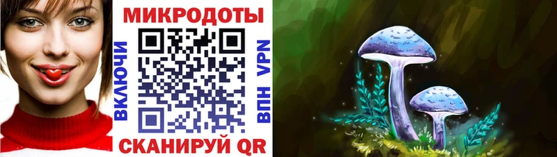 Купить  Бокситогорск  Галлюциногенные грибы Psilocybe 